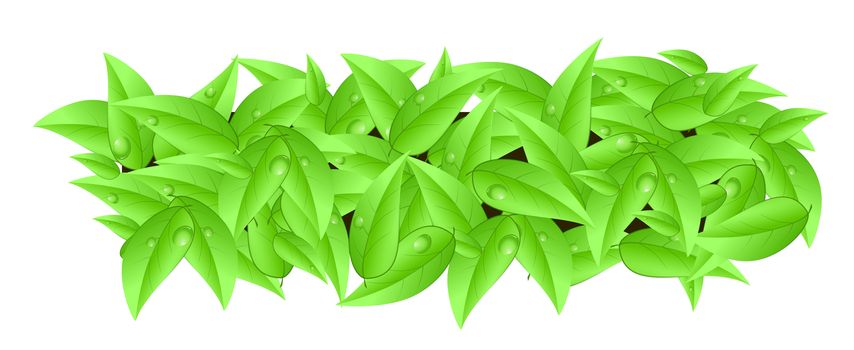 Banner made of leaves with space text isolated on a white background