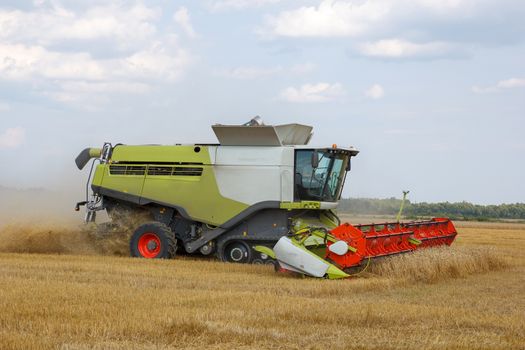 The combine mows wheat in a field 