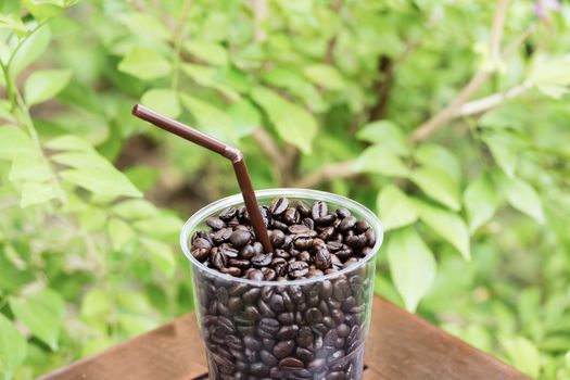 Close up coffee bean in glass against green leaf background