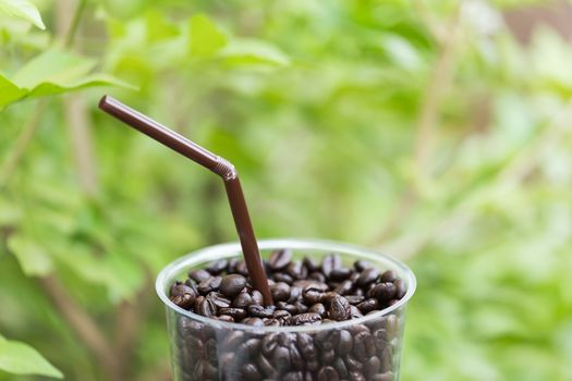 Close up of coffee  bean in glass against green leaf background