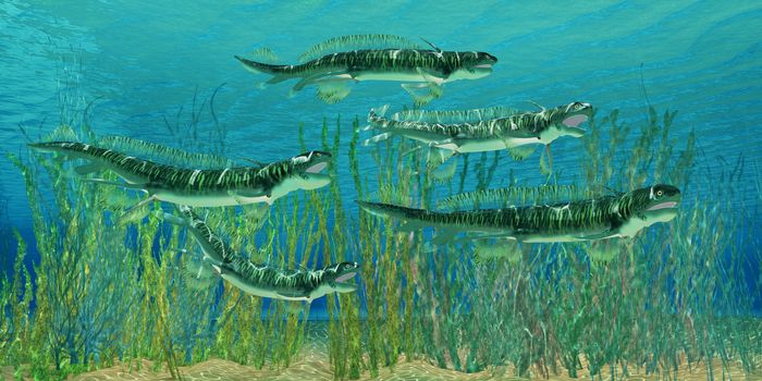 Orthacanthus was a freshwater shark that thrived in the Devonian Period.