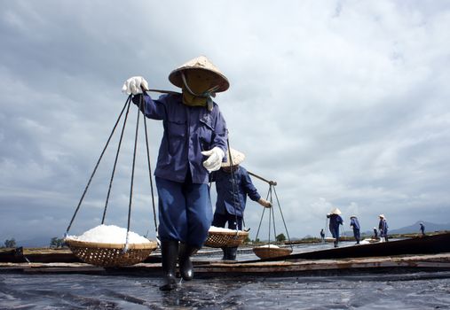 BA RIA, VIET NAM- FEBRUARY 3: Salt worker working in group on salina,they harvesting white salt in  Ba Ria, VietNam on February 4, 2013