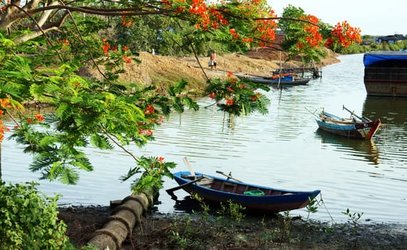 Beautiful landscape of countryside with flamboyant tree blossom in red and boat on water 