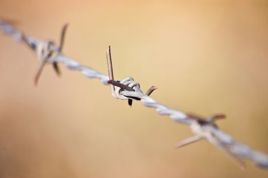 Old fence post with barbed wire in morning