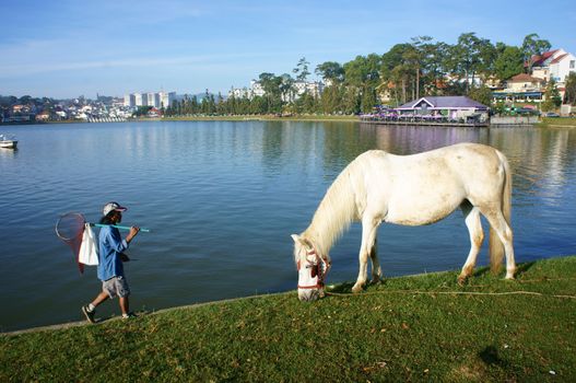 DA LAT, VIET NAM- DEC 29: Tranquil landscape of Dalat city with horse grazing at leisure, man walking on lakeshore, violet restaurant on water, sky in blue in Dalat, Viet Nam on Dec 29, 2013