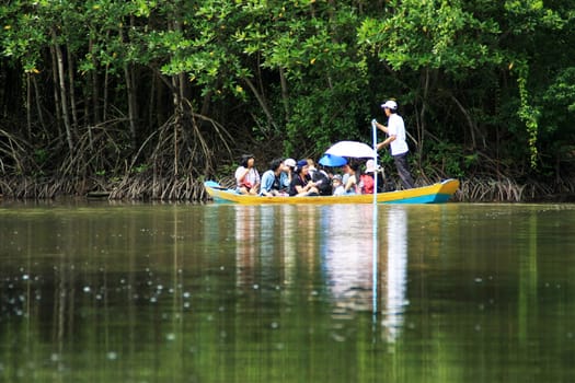 CAN GIO, HO CHI MINH- OCT 28: Traveler make ecotourism, visit natural landscape on row boat, the boat reflect on water among green jungle in Can Gio, Ho Chi Minh, Oct 28, 2013