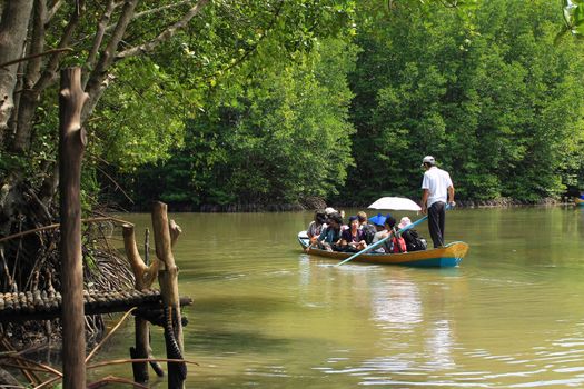 CAN GIO, HO CHI MINH- OCT 28: Traveler make ecotourism, visit natural landscape on row boat, the boat reflect on water among green jungle in Can Gio, Ho Chi Minh, Oct 28, 2013