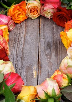 Ellipse Frame of Mixed Colorful Roses with Leafs closeup on Rustic Wooden background. Vertical View