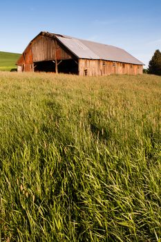 Lush green pllant landscape farm field barn