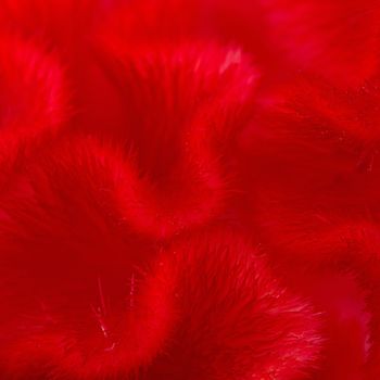 Red background abstract of Cockscomb or Chinese Wool Flower (Celosia argentea) 