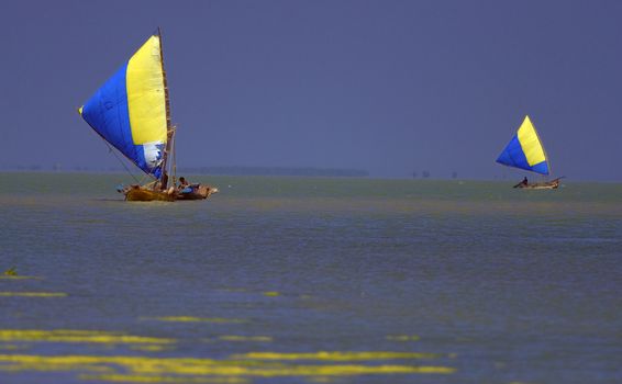 many fisherman fishing at bay of bengal