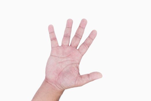 Human hand show five fingers isolated on white background