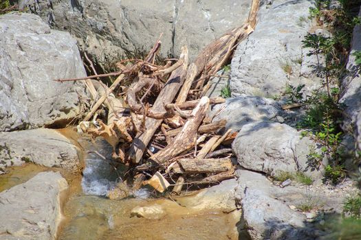 View of lumber in the river in Val Rosandra, italy