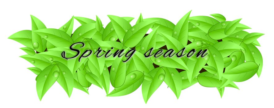 Banner made of leaves isolated on a white background with inscription "spring season"