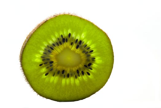 Kiwi fruit isolated on a white background