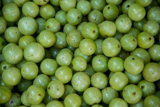 Close up shot of fresh goose berries