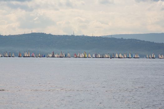 Sailboats during the Barcolana, regatta in Trieste