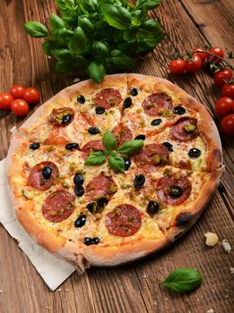 Tasty pizza with olives and salami