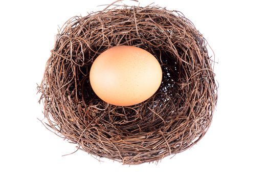 Bird's nest with an egg isolated on a white background