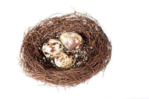 Bird's nest with three quail eggs inside isolated on a white background