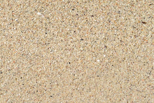 Sand texture. Sandy beach for background. Top view 