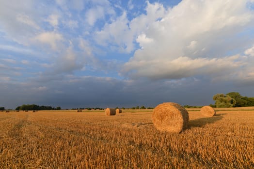 countryside landscape with hay bales at sunset