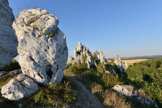 Limestone rocks in " Jura Krakopwsko - Czestochowska " in Poland