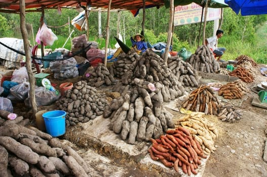 LONG AN, VIET NAM- NOVEMBER 11: Vegetable vendor with many kind of potato as sweet patato, manioc, yam in taro Viet Nam on November 11, 2013