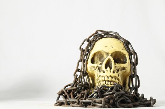 Skull and old Chains on a White Background