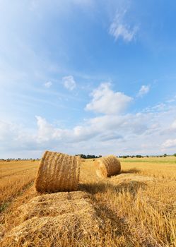 Straw bales on farmland with blue cloudy sky