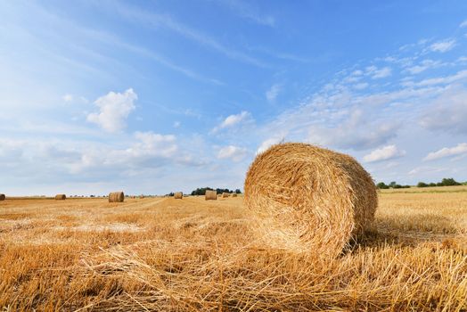 Straw bales on farmland with blue cloudy sky