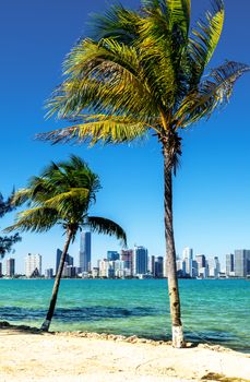 Miami Downtown skyline in daytime with Biscayne Bay.