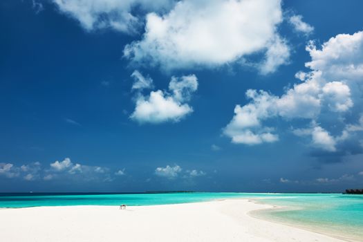 Beautiful island beach with sandspit at Maldives