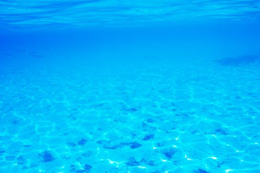 A white sand bottom in clear water at Maldives