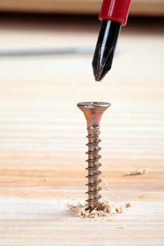 screw on a piece of wood