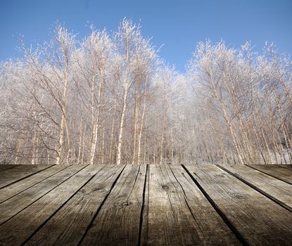 Empty wooden deck table with winter trees in background. Ready for product display montage.