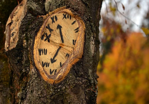 Clock painted on old tree in autumn forest
