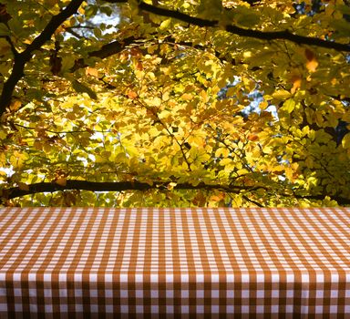 Empty table with orange gingham tablecloth over autumn leaves background. Great for product display montages