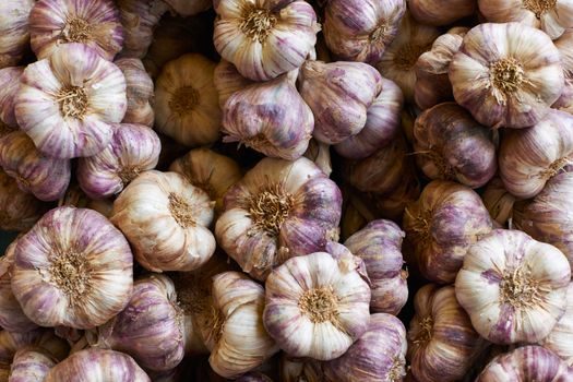 Very expensive violet garlic on market stall in South France town of Aix en Provence