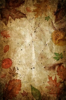 Old vintage wet brown paper with autumn leaves on it