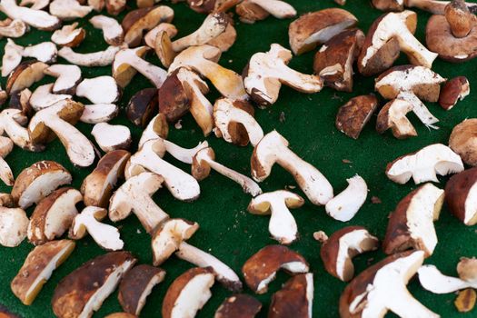 Edible boletus forest mushrooms for sale ot Provence market, South France