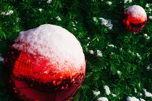 red ball on the Christmas tree