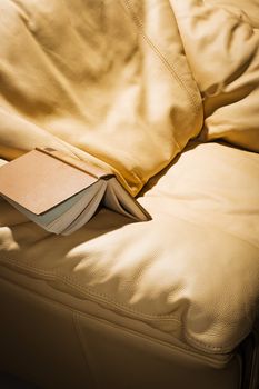 The open book on a leather brown armchair