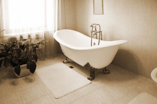 Bathroom with a beautiful bath and an house plant