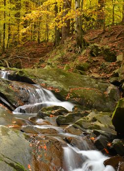 Autumn landscape with river and beautiful foliage - Bieszczadzki National Park in Poland