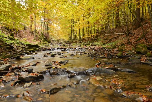 Autumn landscape with river and beautiful foliage