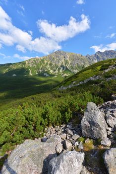 Beautiful landscape of Polish Tatry mountains