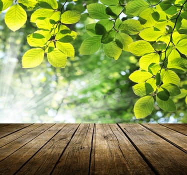 Empty wooden deck table with spring background. Ready for product display montage.