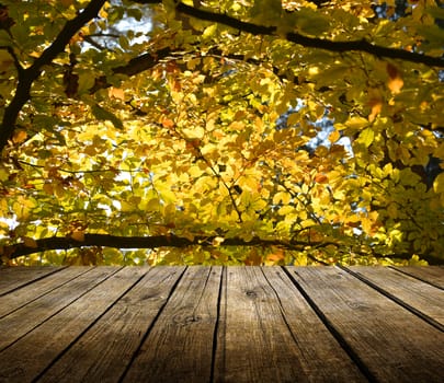 Empty wooden deck table with autumn forest background. Ready for product display montage. 