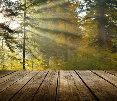 Empty wooden deck table with autumn forest background. Ready for product display montage. 